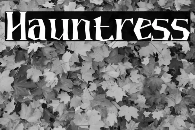 Hauntress Font examples