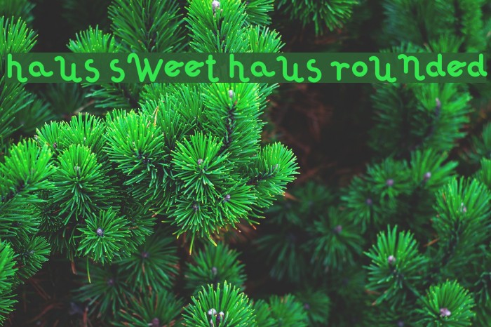 Haus Sweet Haus Rounded Шрифта examples
