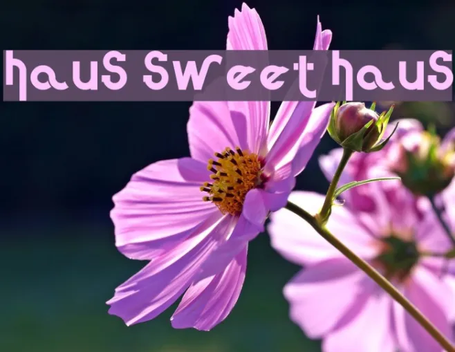 Haus Sweet Haus Example 3