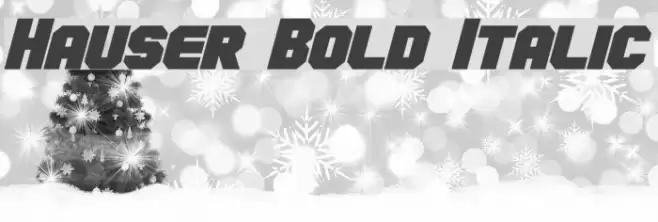 Hauser Bold Italic Font examples