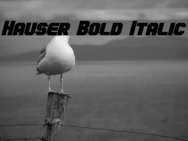 Hauser Bold Italic Font examples
