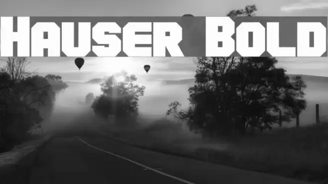 Hauser Bold Font examples