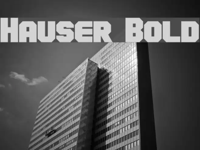 Hauser Bold Font examples