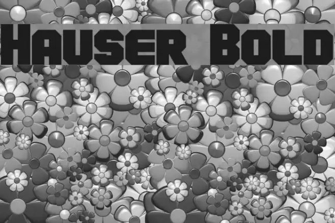 Hauser Bold Font examples