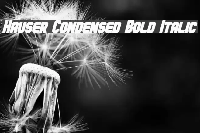 Hauser Condensed Bold Italic Font examples