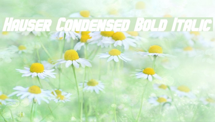 Hauser Condensed Bold Italic Font examples