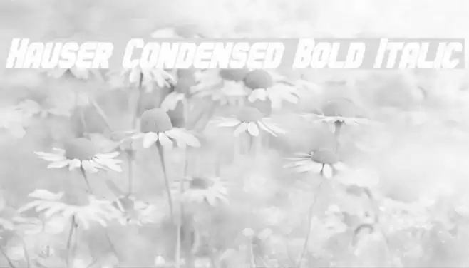Hauser Condensed Bold Italic Font examples