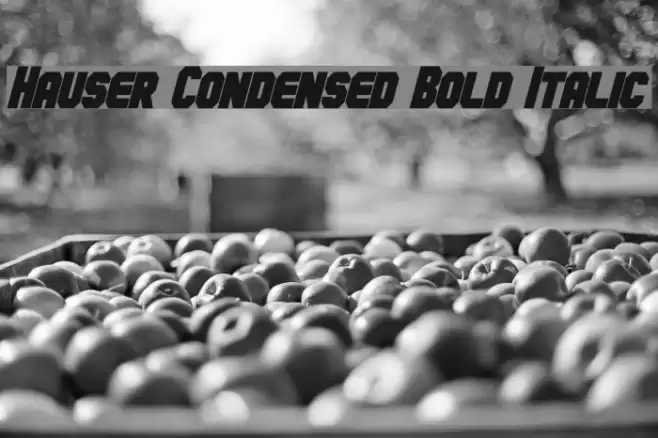 Hauser Condensed Bold Italic Font examples