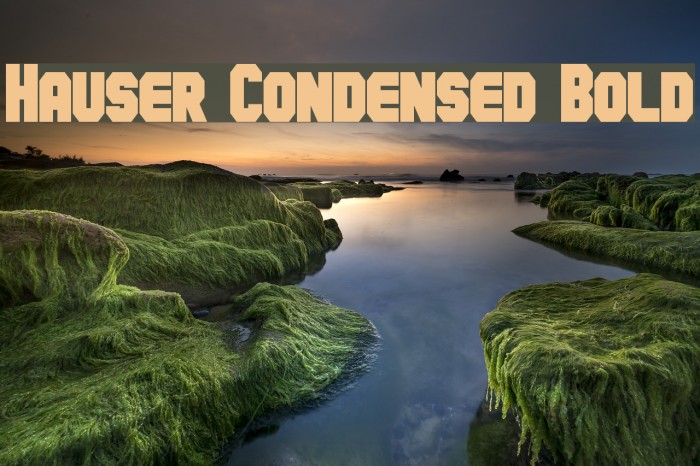 Hauser Condensed Bold Font examples