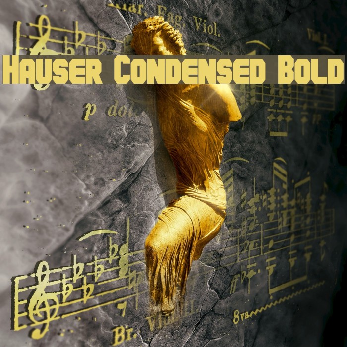 Hauser Condensed Bold Font examples