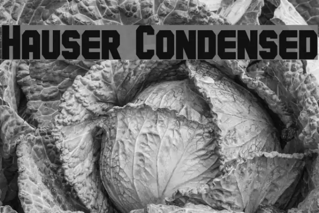 Hauser Condensed Font examples
