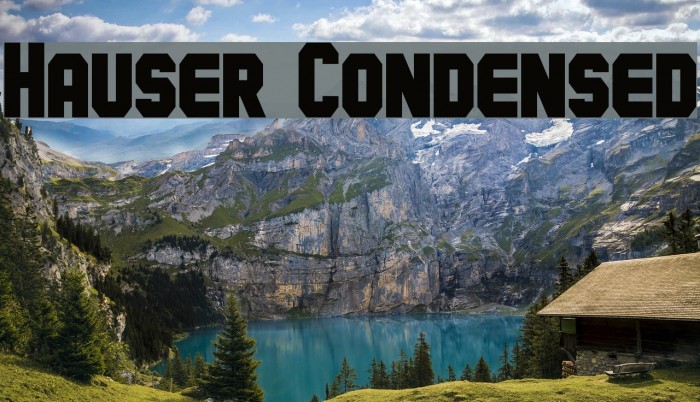 Hauser Condensed Font examples