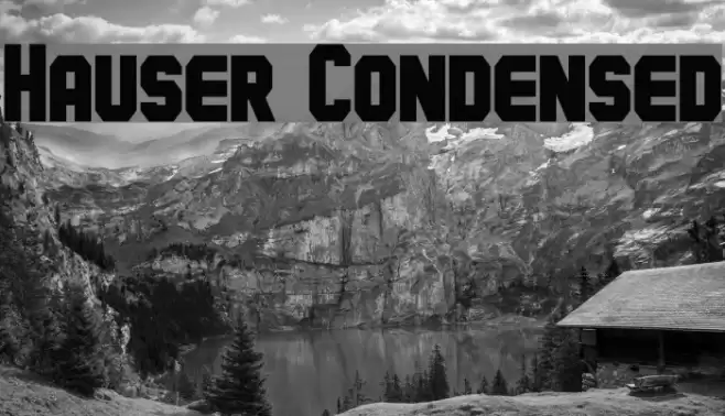 Hauser Condensed Font examples
