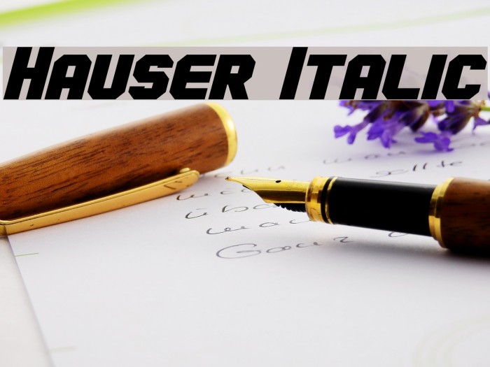 Hauser Italic Schriftart examples