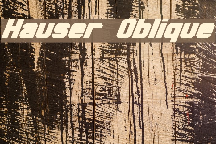 Hauser Oblique Font examples