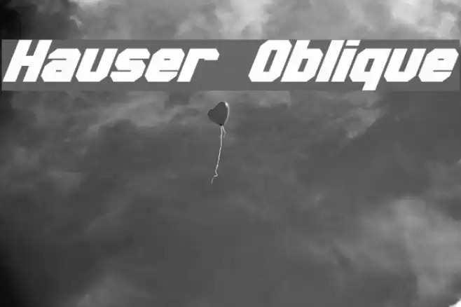Hauser Oblique Font examples