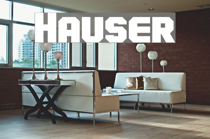 Hauser Font examples