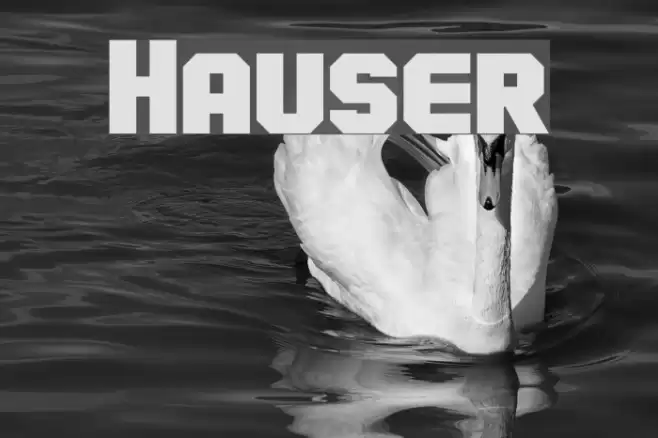 Hauser Font examples
