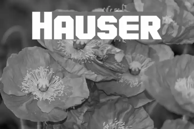 Hauser Font examples