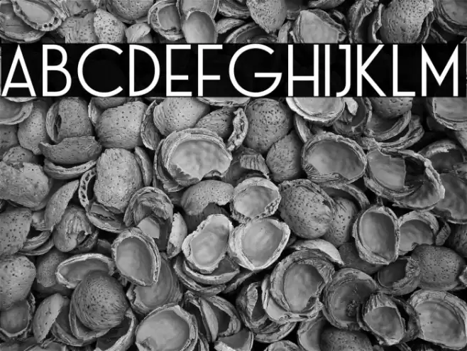 Haute Corniche Regular Font examples