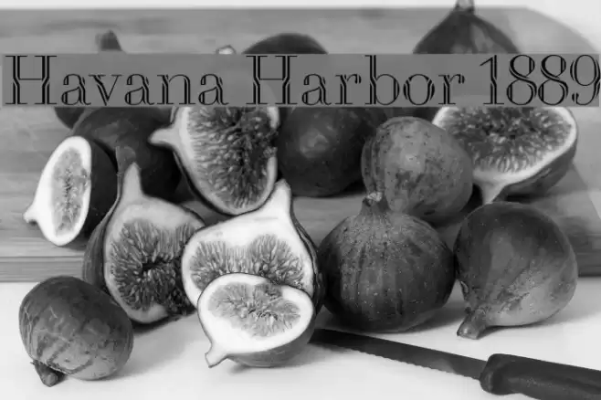 Havana Harbor 1889 Font examples