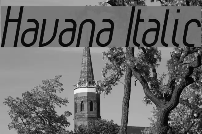Havana Italic Font examples