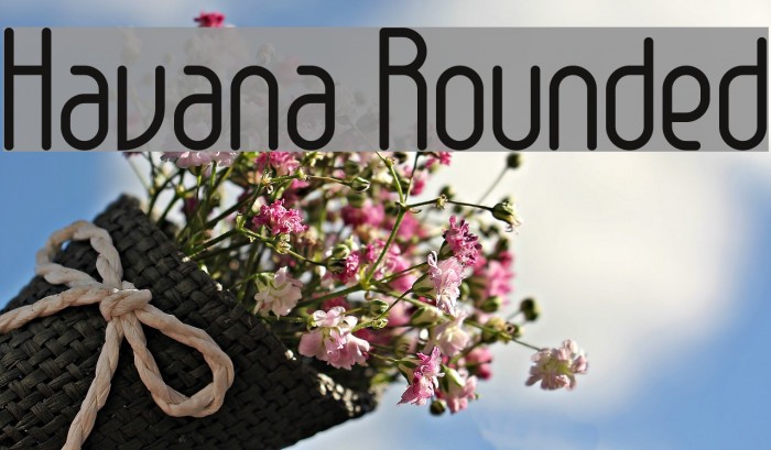 Havana Rounded Example 3