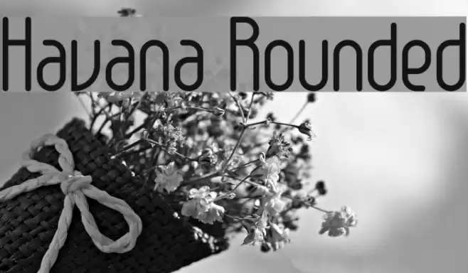 Havana Rounded Font examples