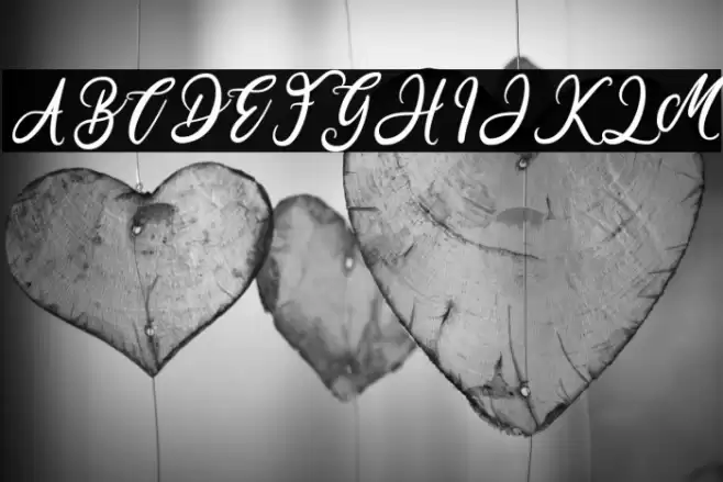 Havana Font examples