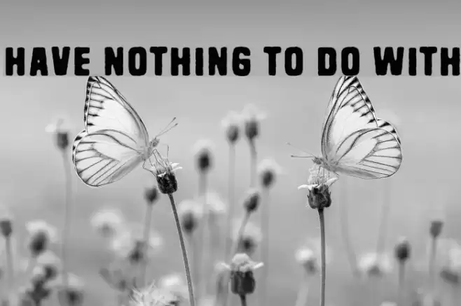 Have nothing to do with خط examples