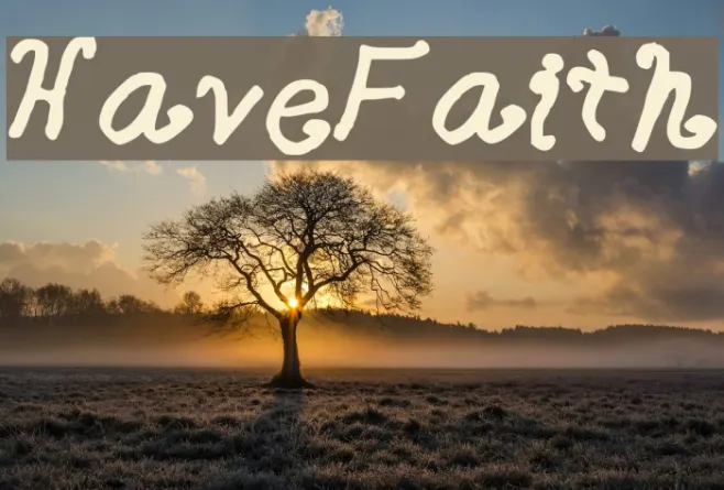 HaveFaith Example 1