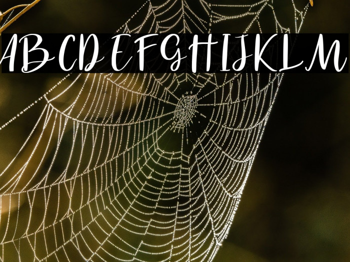 Havel White Example 1