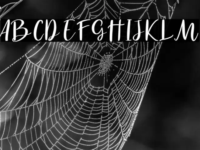 Havel White Font examples