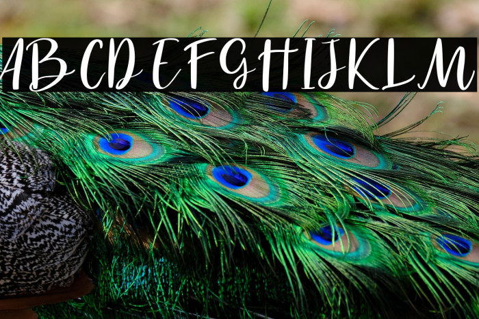 Havel White Example 3