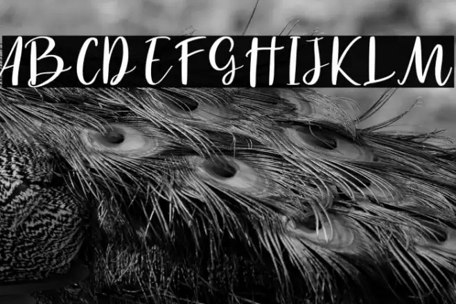 Havel White Font examples