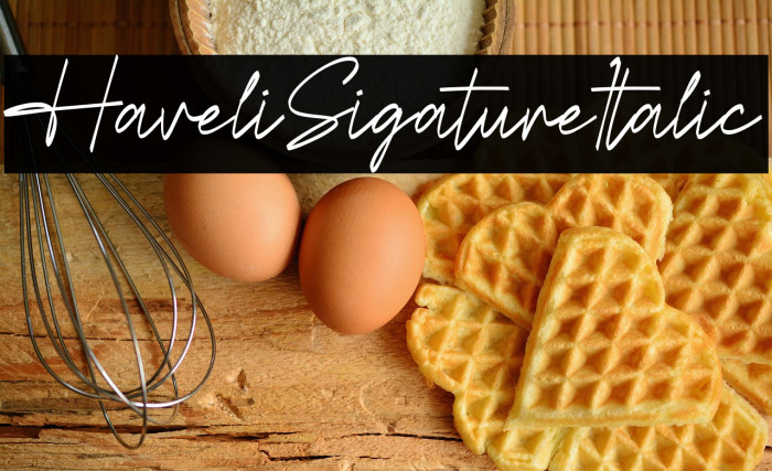 Havelin Signature Italic Example 1