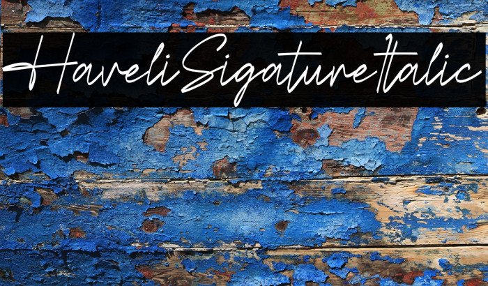 Havelin Signature Italic Example 2