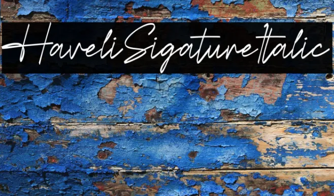 Havelin Signature Italic Example 2