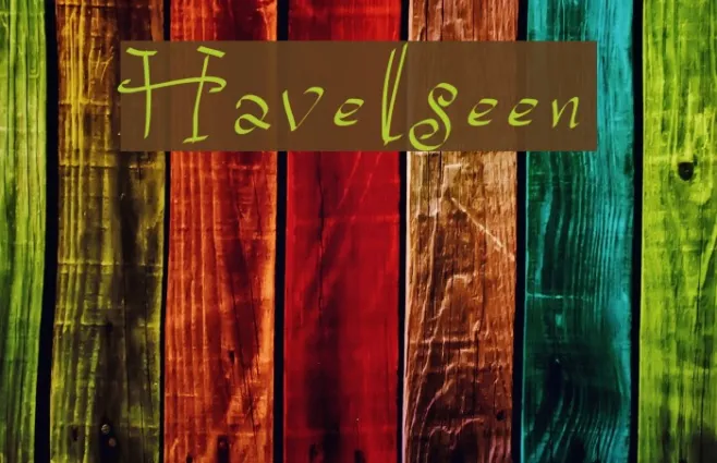 Havelseen Example 1
