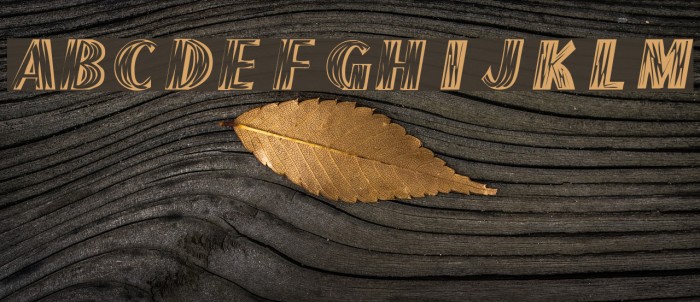 Haven Font examples