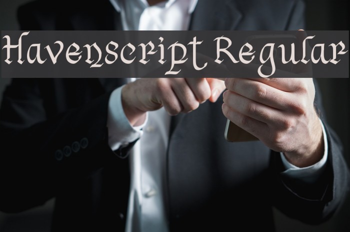 Havenscript Regular Font examples