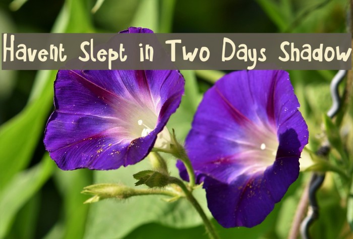 Havent Slept in Two Days Shadow Example 1