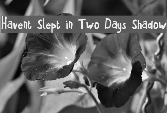 Havent Slept in Two Days Shadow Font examples