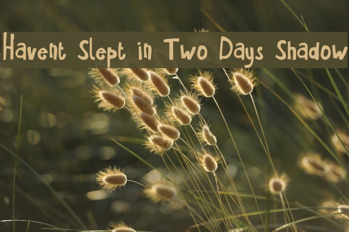 Havent Slept in Two Days Shadow Example 2