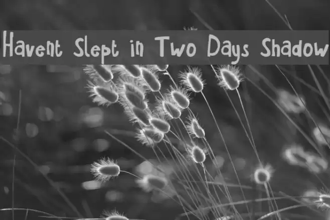 Havent Slept in Two Days Shadow Font examples