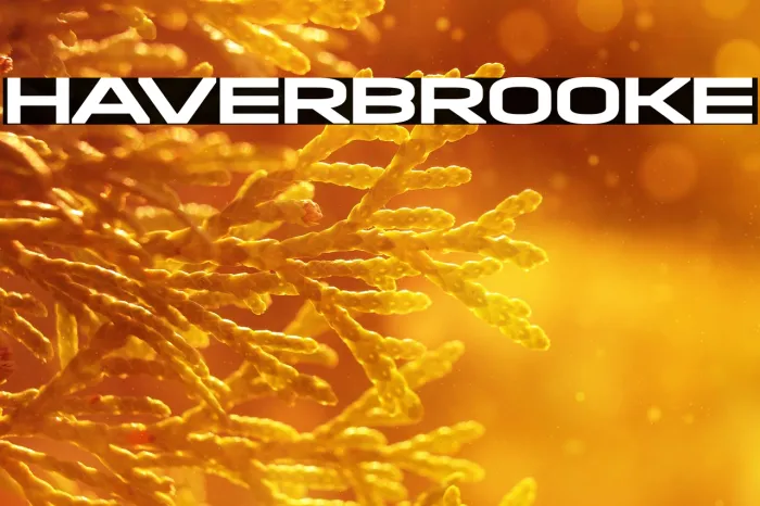 Haverbrooke Example 2