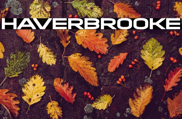 Haverbrooke Example 3