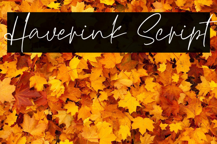 Haverink Script Example 1