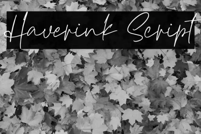 Haverink Script Font examples
