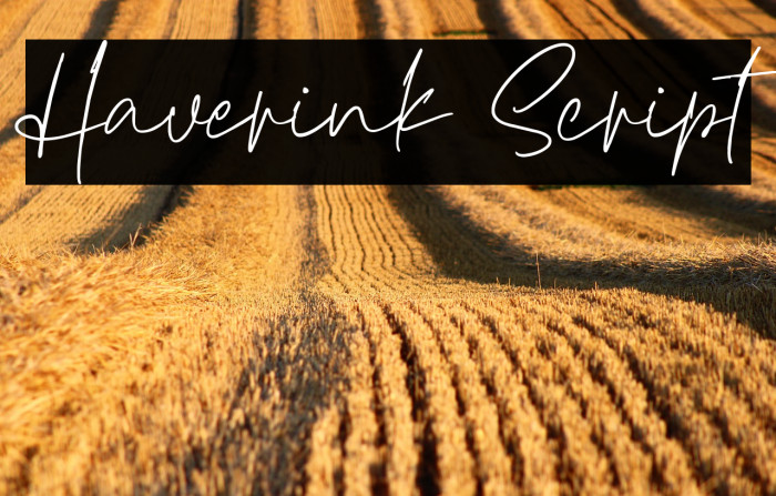 Haverink Script Example 3